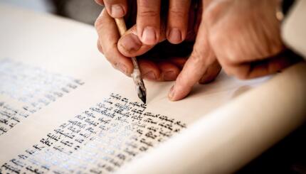 The Torah  My Jewish Learning