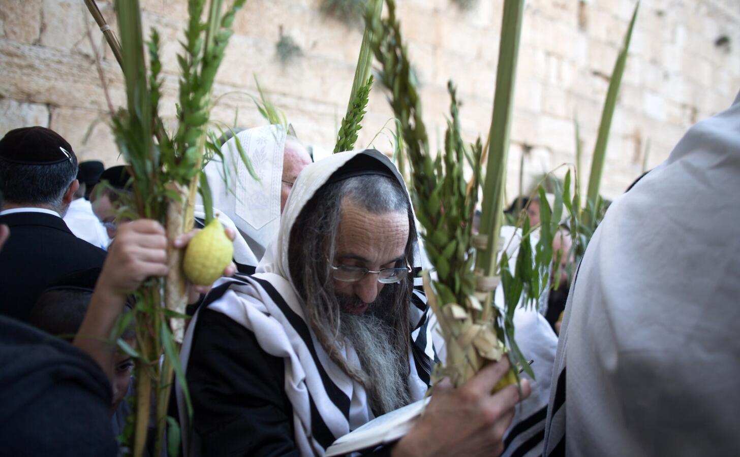 hoshanah rabbah