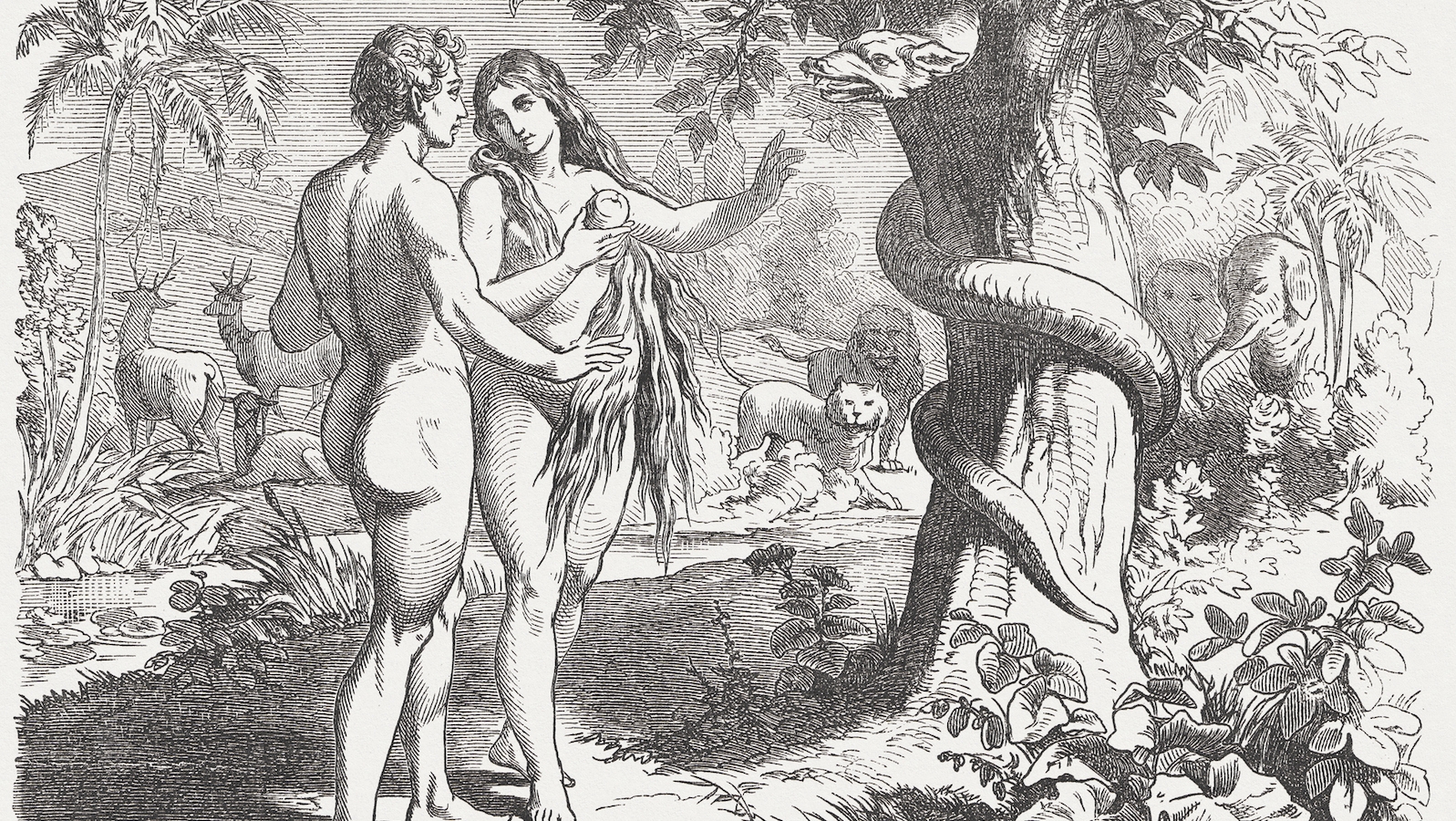 Adam and Eve  My Jewish Learning