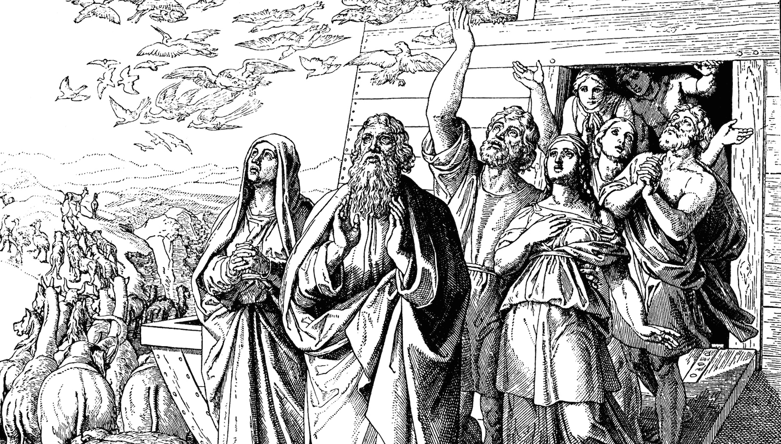 Noah's Flood My Jewish Learning