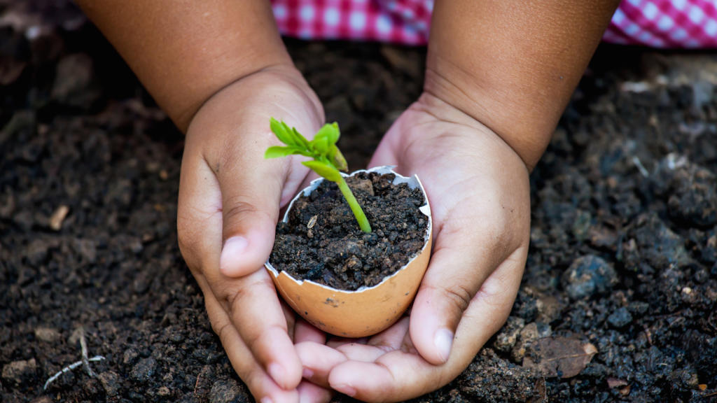 Tu Bishvat 2025 My Jewish Learning