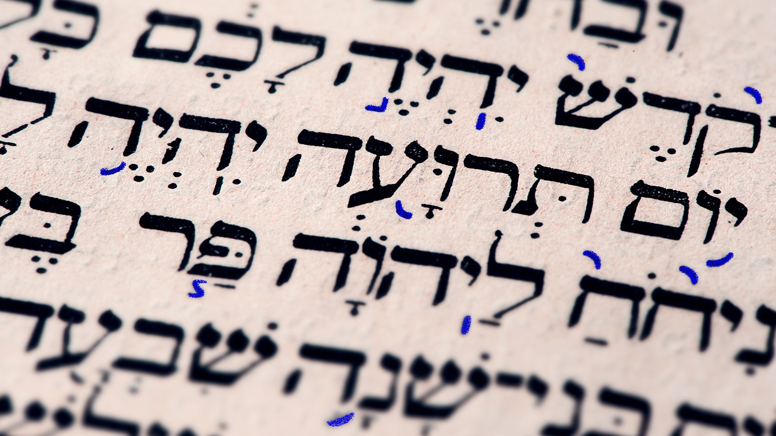 Close-up of Hebrew text with cantillation marks.
