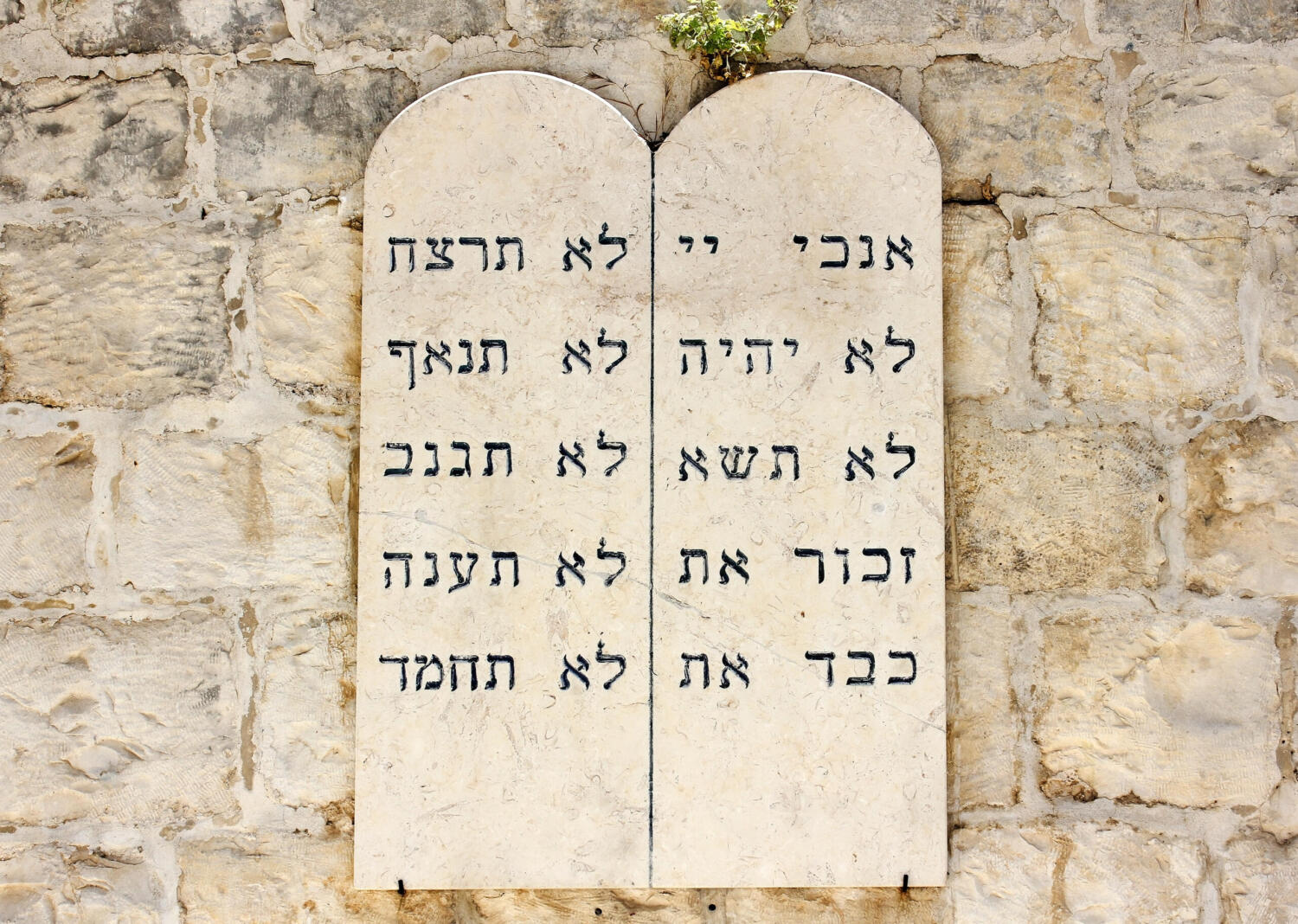 Seven Requirements Of Jewish Life