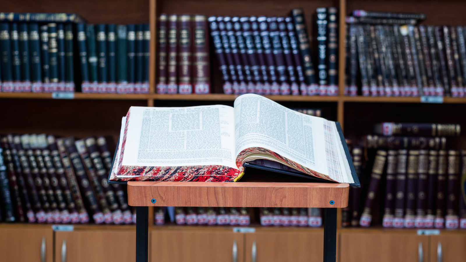 The Torah  My Jewish Learning