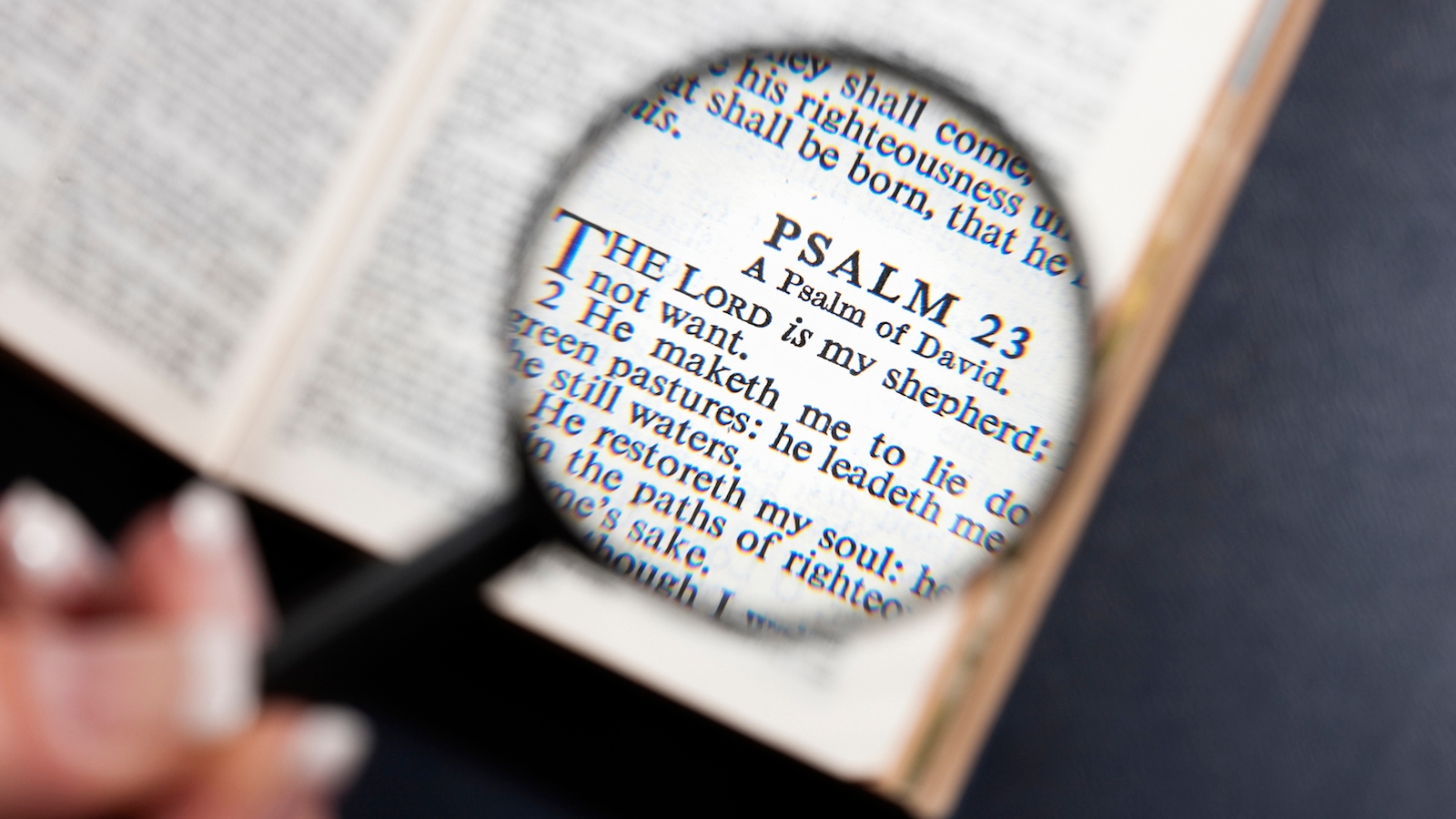 Psalms As The Ultimate Self Help Tool My Jewish Learning