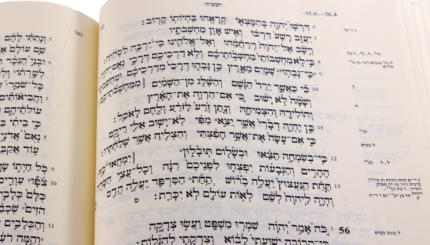 Torah Training Scroll - W/O Vowels & Cantillation