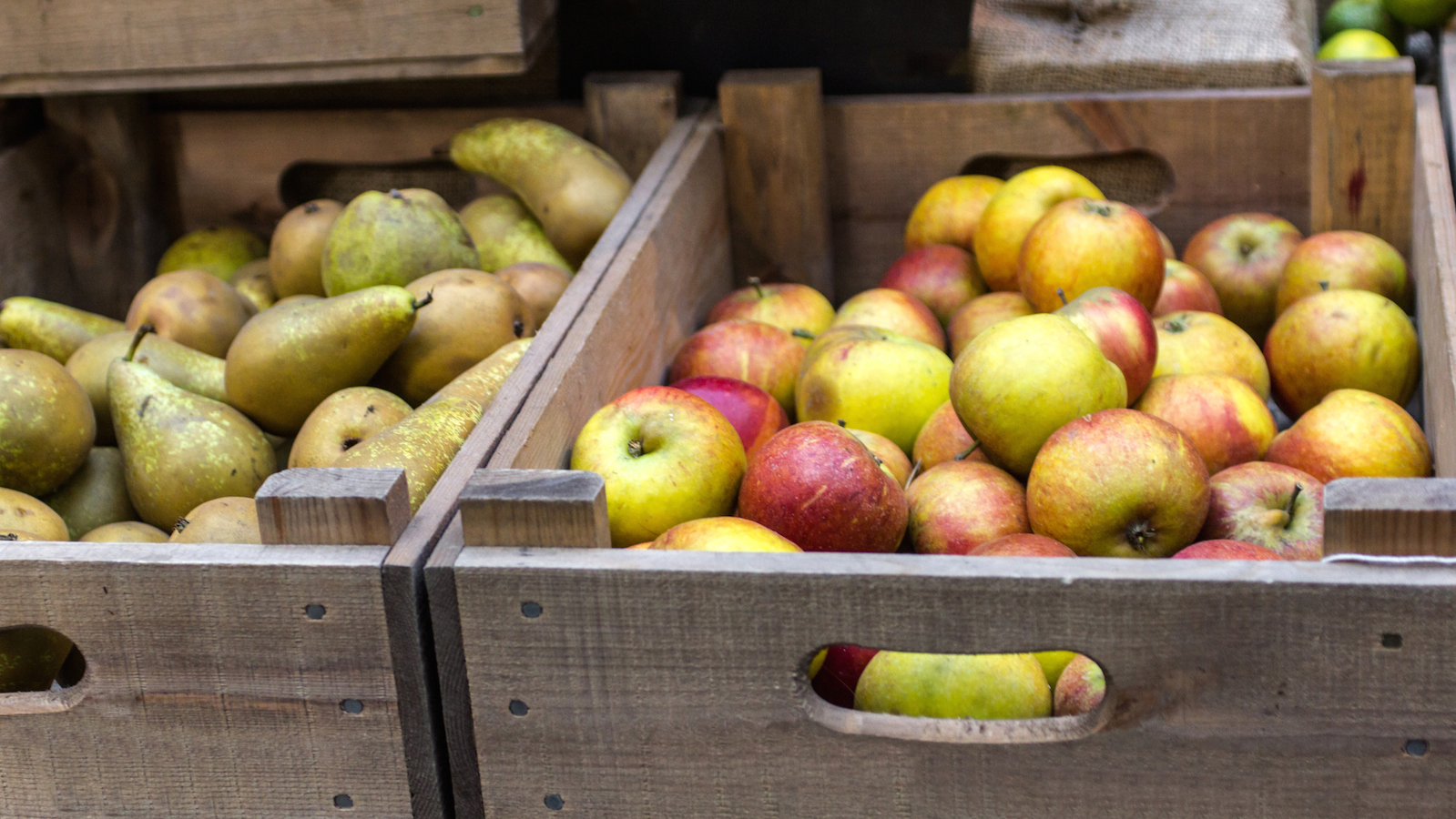 First Fruits (Bikkurim) My Jewish Learning