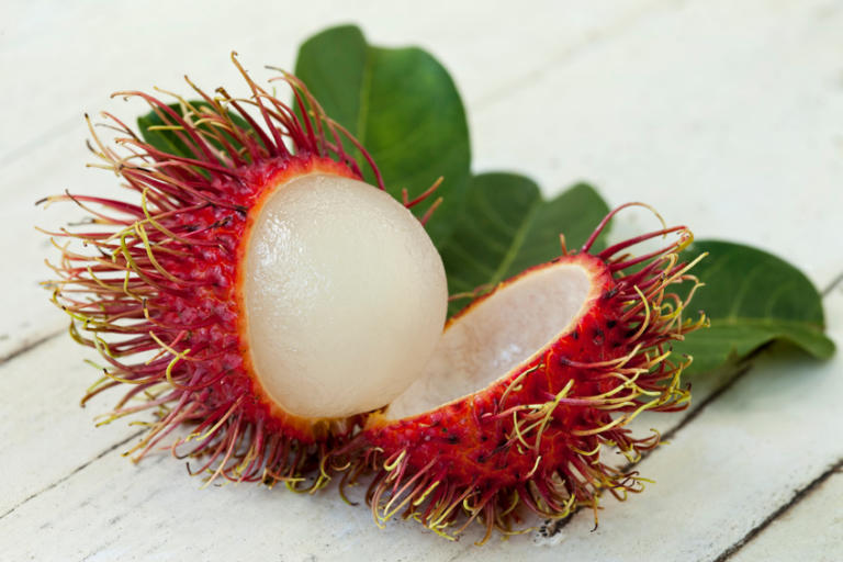 new years update one fruit