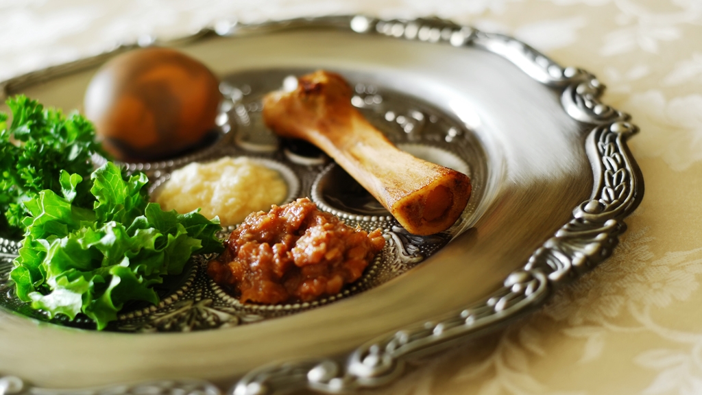 The Passover Shankbone My Jewish Learning