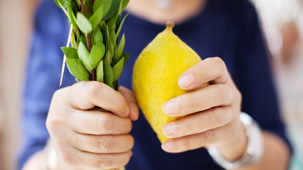 What Are the Lulav and Etrog? | My Jewish Learning