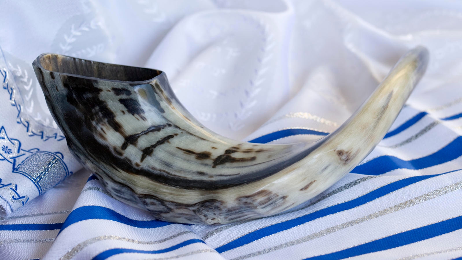 Shofar Tallit High Holidays Yom Kippur Rosh Hashanah 1598x900 