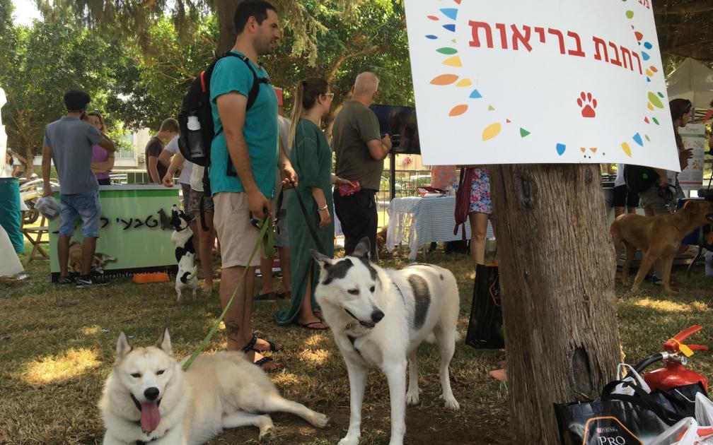 Judaism and Dogs My Jewish Learning