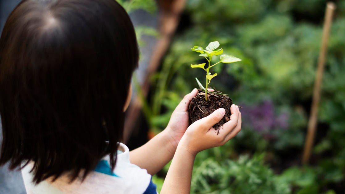 Tu Bishvat Quiz | My Jewish Learning