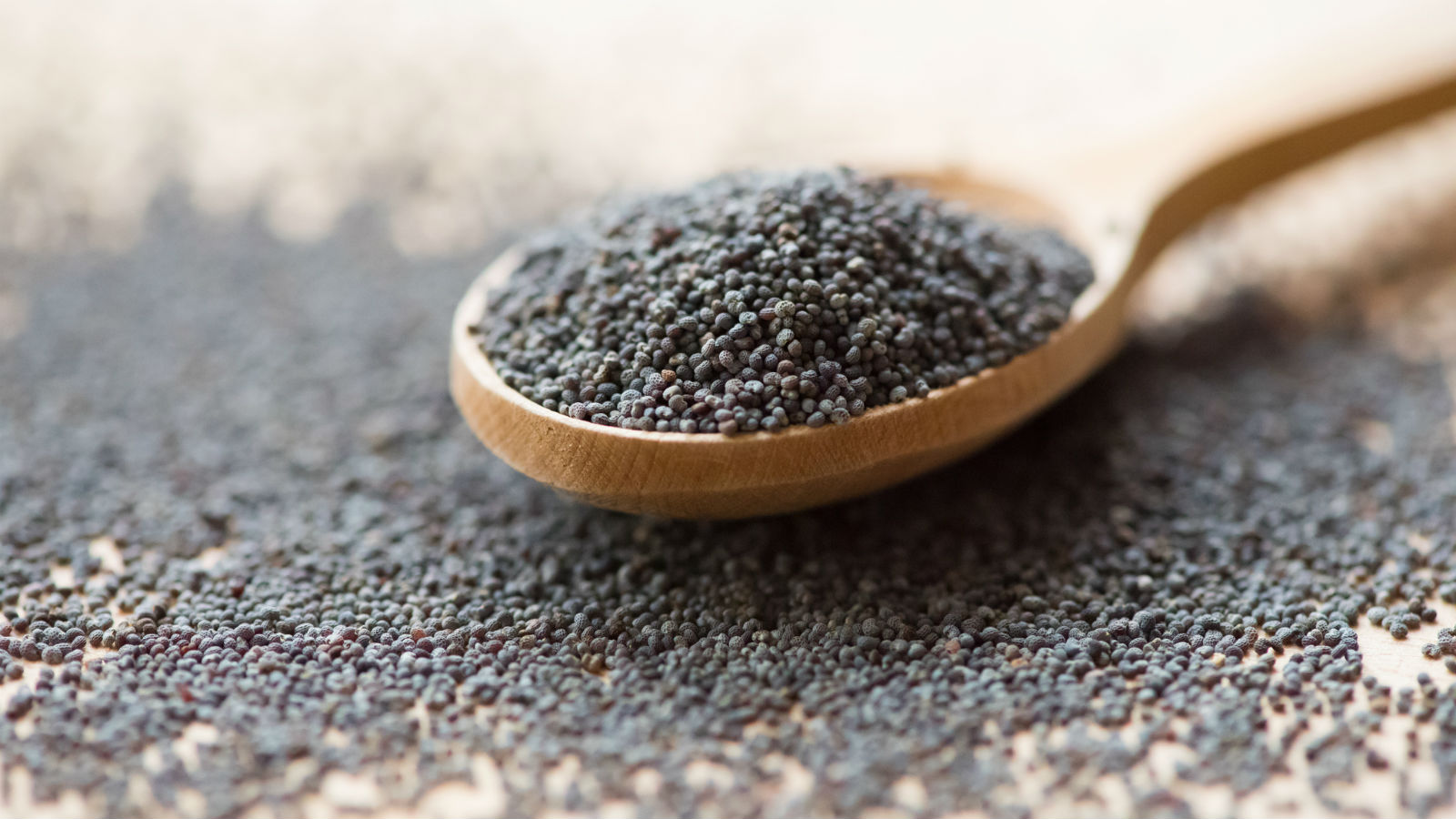 Poppy Seeds