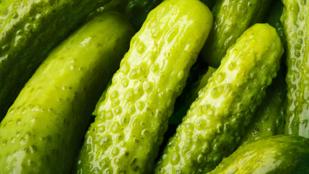 The Official Guide to Jewish Pickles The Nosher