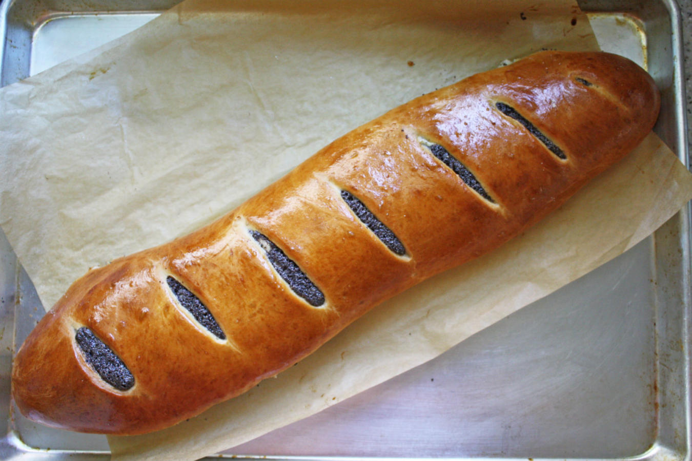 This Poppy Seed Roll is Old Fashioned Jewish Perfection The Nosher