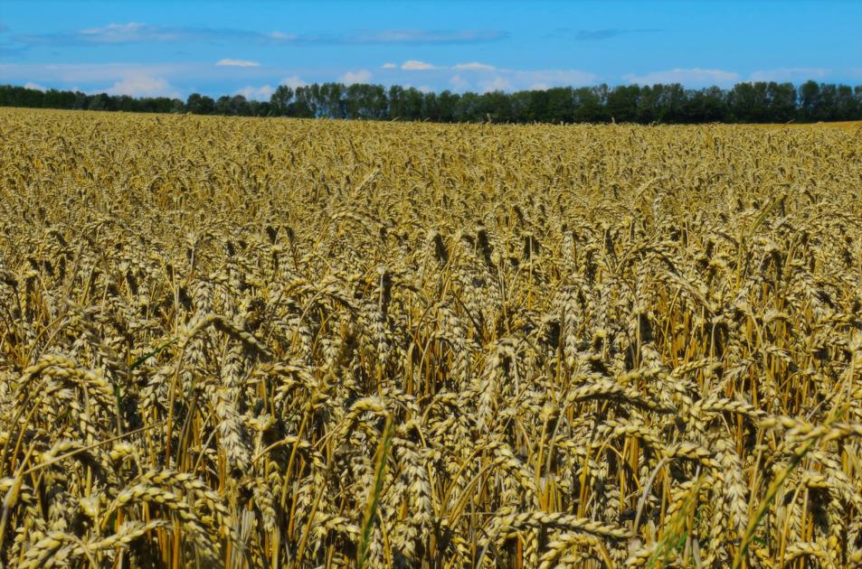 Prayers for Shavuot | My Jewish Learning