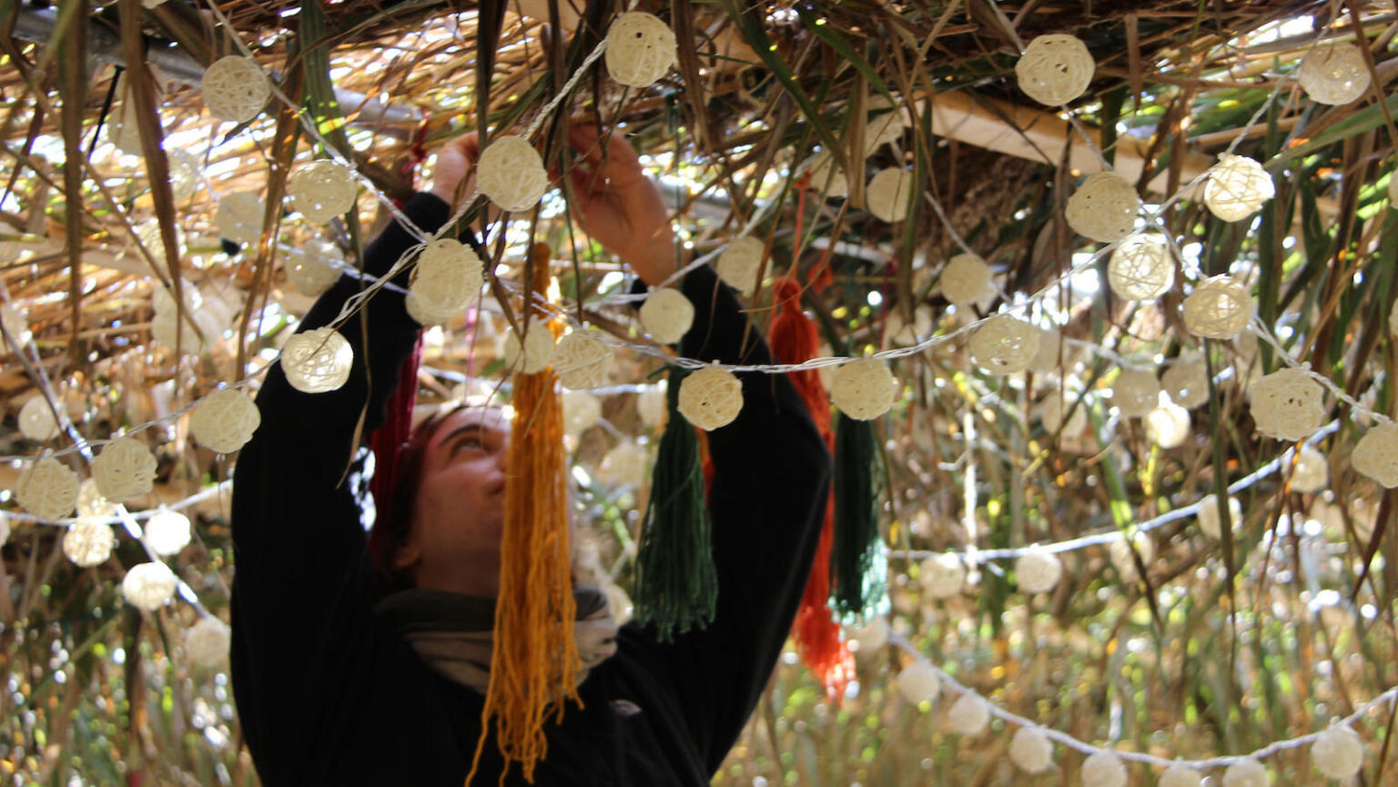 Sukkot 2022 My Jewish Learning