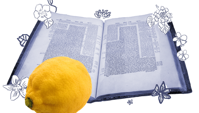 an etrog superimposed over a page of talmud