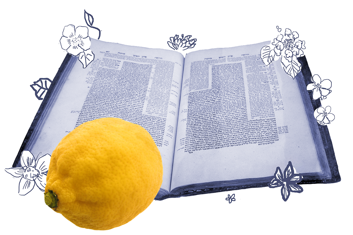 an etrog superimposed over a page of talmud