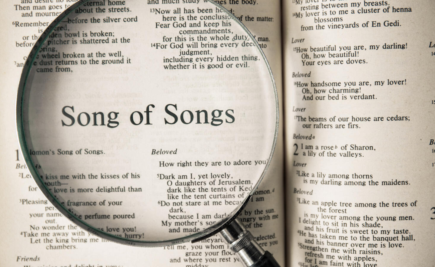 meaning of song of solomon