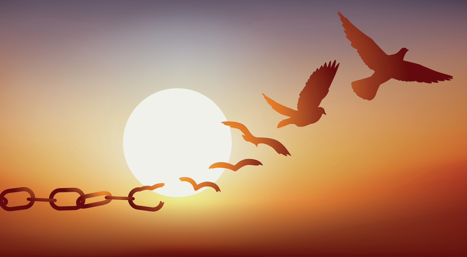 Concept of freedom regained, with chains that break and turn into a dove that flies away at sunset.