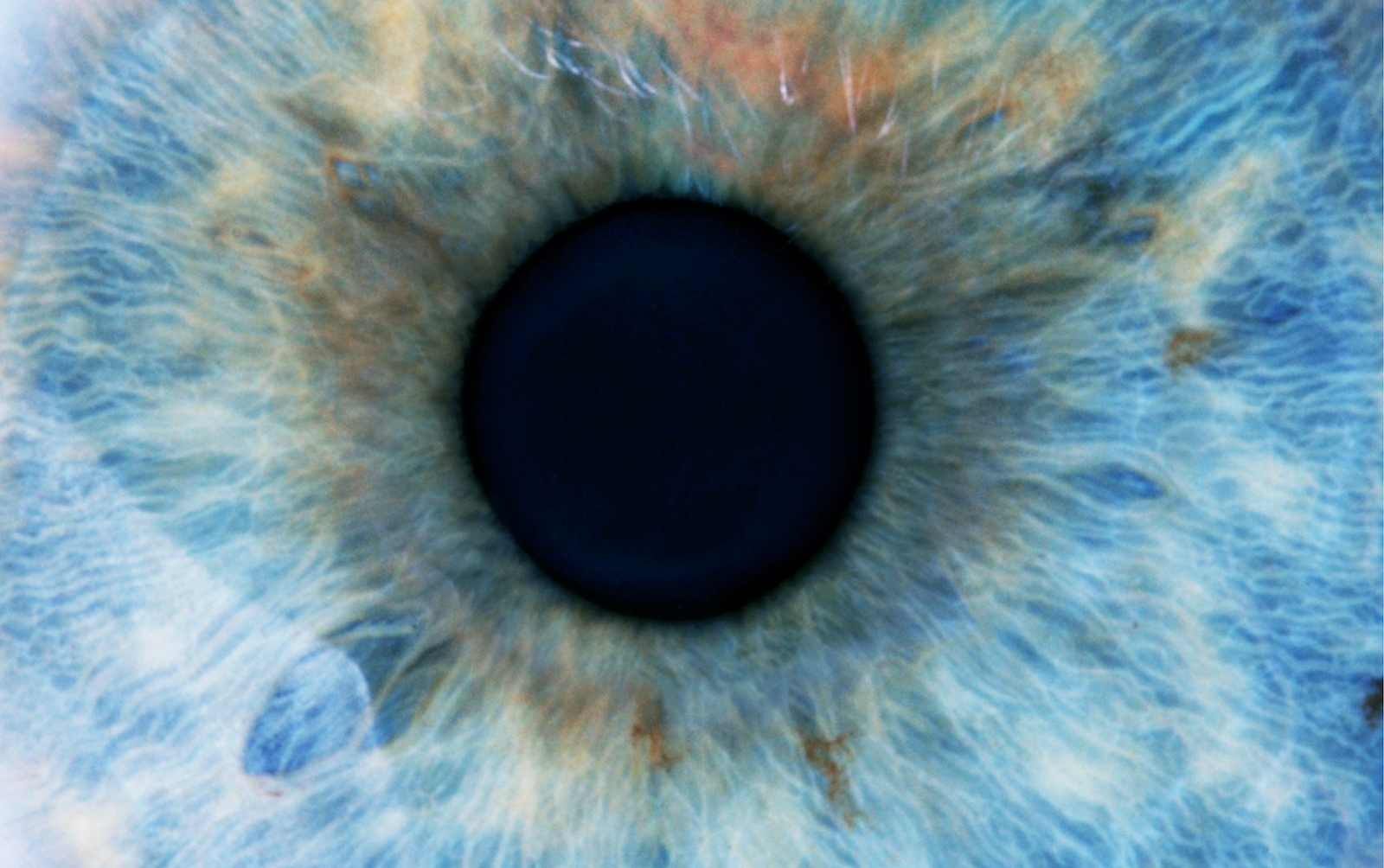 Human Eye pupil closeup texture