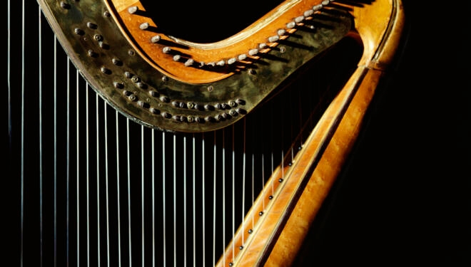 Harp in sunlight