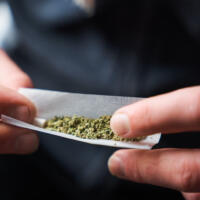 Close-up of a young adult rolling a marijuana joint against a blurred background. Man placing desiccated marijuana leaves inside rolling paper.