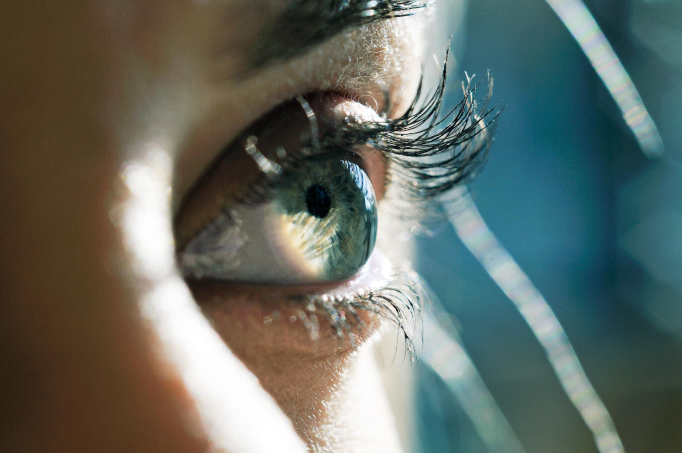 Close up of woman eye with long eyelashes.