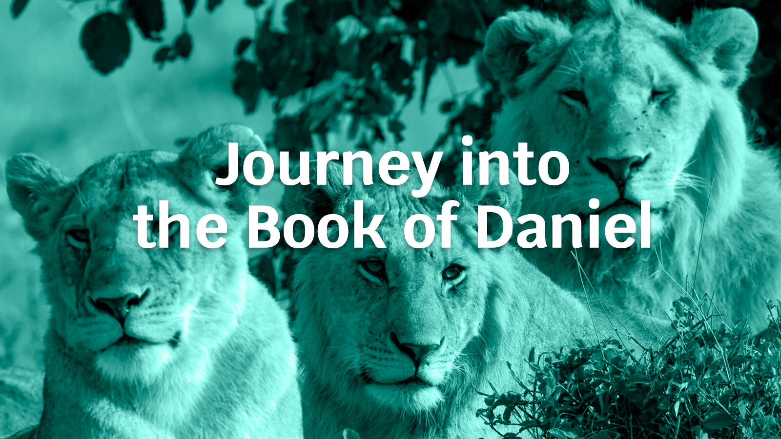 Journey into the Book of Daniel