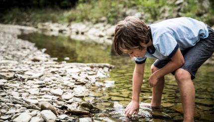 Boy exploring in stream