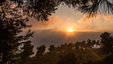 landscape photo of sunrise framed by trees