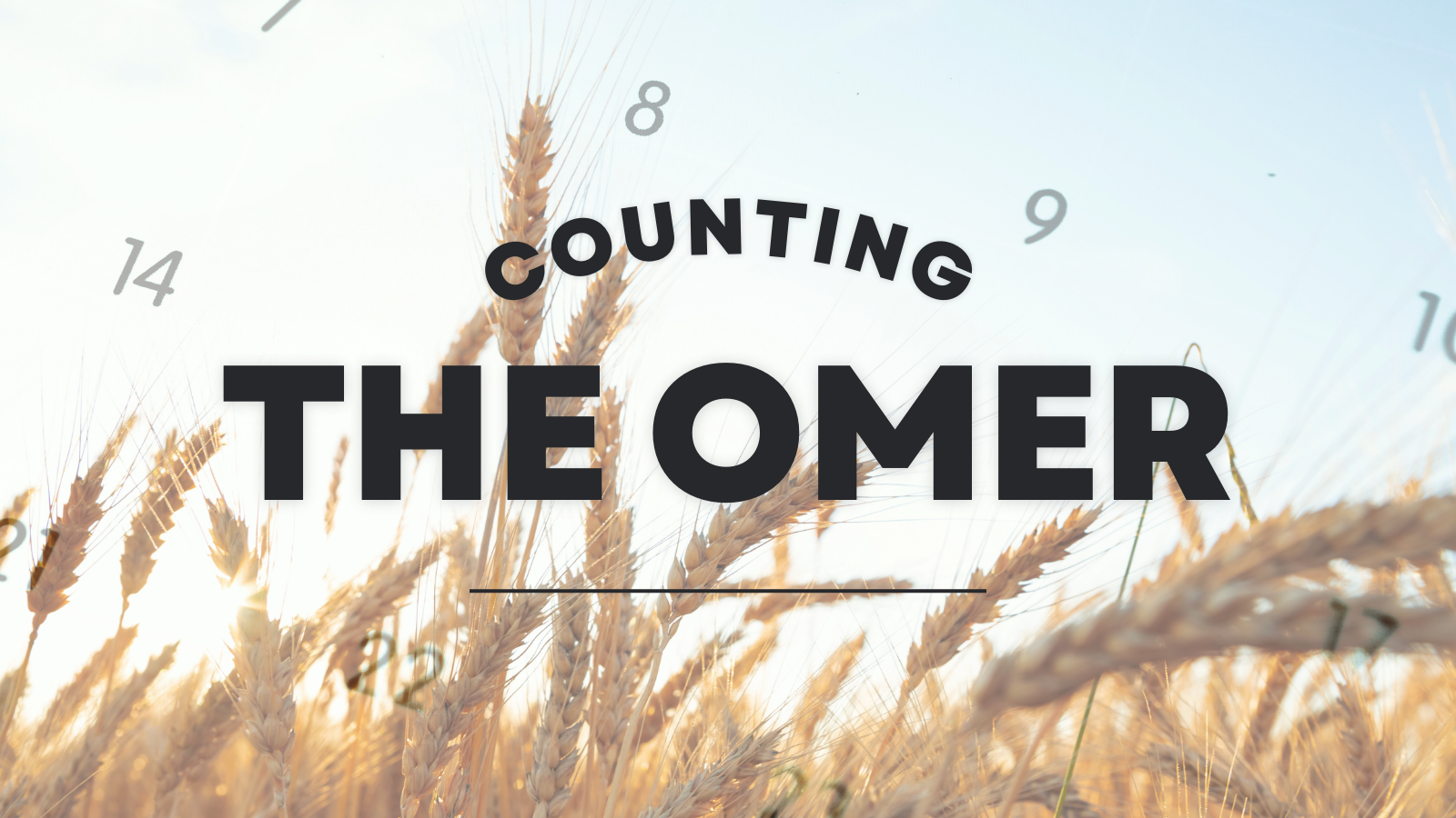Counting the Omer